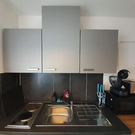 The Peacocks' Castle 5 Min To Center * Лейпциг